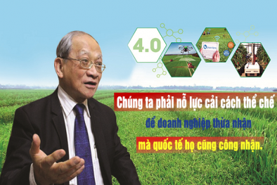 TS. Lê Đăng Doanh: Phải cải cách thể chế hơn nữa để DN thừa nhận và quốc tế công nhận