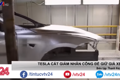 Giá xe điện quá đắt, ông lớn Tesla phải cắt giảm nhân sự để tiết giảm chi phí