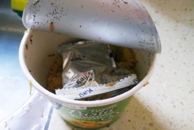 Tìm thấy con sâu bên trong, nhà sản xuất Kay's Cup Pasta lập tức thu hồi sản phẩm
