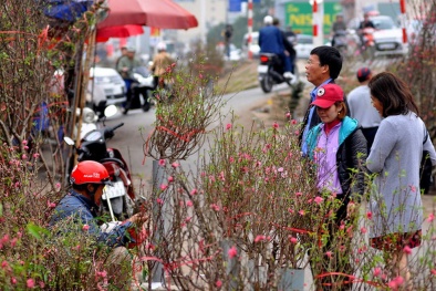 Tình hình thời tiết từ 23 tháng Chạp tới mùng 3 Tết Nguyên đán Kỷ Hợi 2019