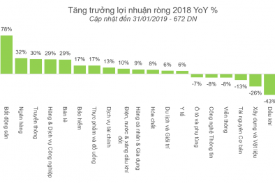 Lợi nhuận đột biến của DN này đã giúp ngành bất động sản 'đạt đỉnh' tăng trưởng năm 2018