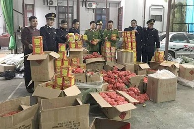 Tết Nguyên đán Kỷ Hợi 2019: Lực lượng công an thu giữ hơn 20 tấn pháo