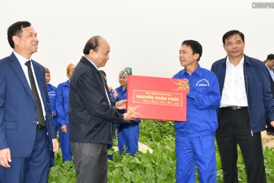 5 xu hướng lớn về công nghệ quyết định sự phát triển năng suất nông nghiệp Việt Nam