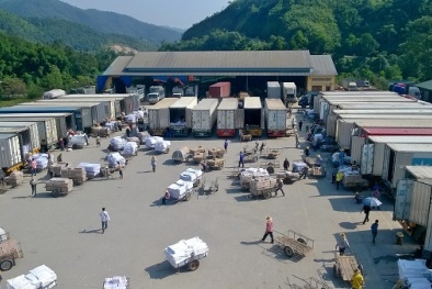 'Điểm sáng' xuất nhập khẩu hàng hóa dịp Tết Nguyên đán 2019