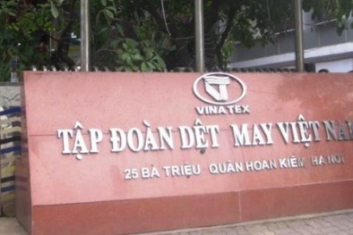 Vì sao VNTex của đại gia Nguyệt Hường thoái sạch vốn tại Tập đoàn Dệt may?