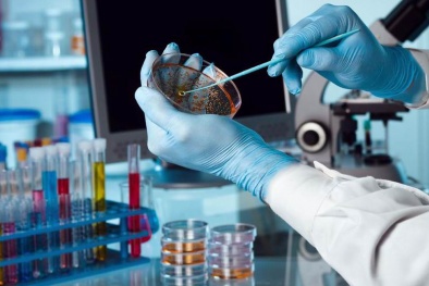 Bộ Khoa học và Công nghệ chủ trì xây dựng hạ tầng chất lượng quốc gia