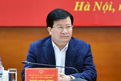Phó Thủ tướng: Có tuyến cao tốc chạy suốt Bắc - Nam là mong muốn của toàn Đảng, toàn dân