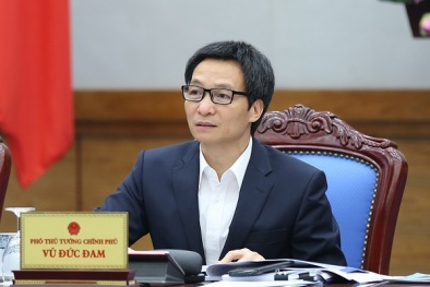 Phó Thủ tướng Vũ Đức Đam: Việt Nam xác định trở thành đối tác thương mại quan trọng nhất của Argentina