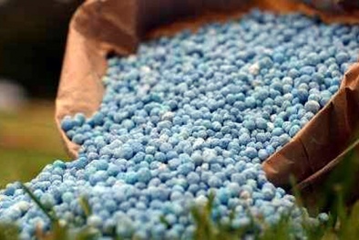 'Siết' quản lý phân bón nhập khẩu nhằm chống lẩn tránh thuế
