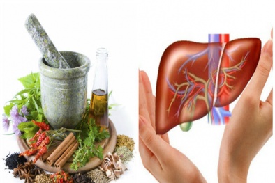 Gan bị tàn phá nặng nề nếu bổ sung nhầm thảo dược ‘bẩn’