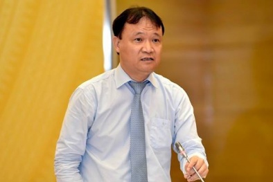 Hiệp định CPTPP tạo xung lực mới thúc đẩy hợp tác thương mại Việt Nam - châu Mỹ