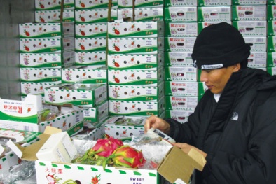 Xuất khẩu nông sản chính ngạch sang Trung Quốc: Coi trọng nguồn gốc và chất lượng