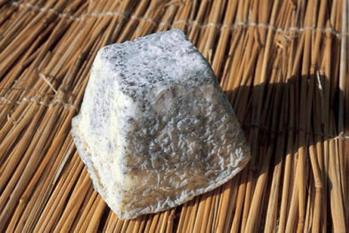 Cảnh báo sản phẩm phomai nhập khẩu từ Pháp bị nhiễm E.coli