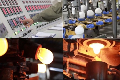 Mô hình điểm về cải tiến năng suất và kết quả từ các doanh nghiệp thành công