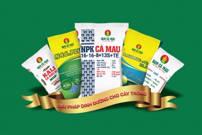 Đạm Cà Mau - không ngừng sáng tạo để phát triển