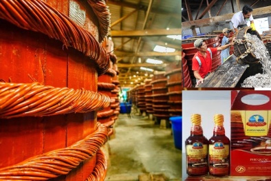 Phó thủ tướng: 'Tiêu chuẩn sản xuất không được ảnh hưởng tiêu cực đến nước mắm truyền thống’