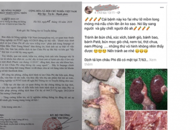 Chủ facebook Đầm bầu thời trang Mami bị mời làm việc vì tung tin đồn về dịch tả lợn châu Phi