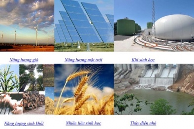 Xuất hiện 'làn sóng' đầu tư phát triển năng lượng tái tạo tại Việt Nam
