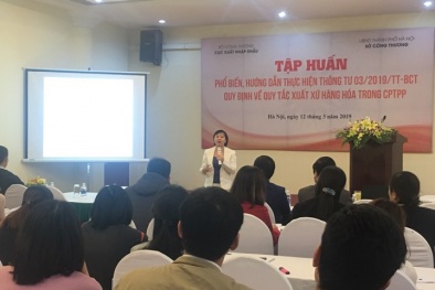 Nắm rõ quy tắc xuất xứ hàng hóa để tận dụng cơ hội trong CPTPP