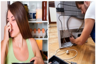 Tủ lạnh sẽ thành ‘quả bom độc hại’ nếu có dấu hiệu này mà bỏ qua