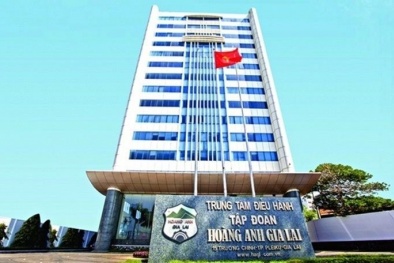 Doanh nghiệp của bầu Đức tiếp tục 'lĩnh án' phạt, truy thu thuế 11 tỷ đồng