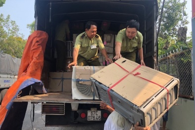 Hàng loạt máy hút bụi, máy quạt đứng... không hóa đơn chứng từ bị tóm gọn