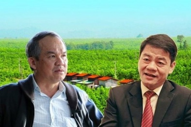 Bầu Đức ‘thở phào’ sau cái ‘bắt tay’ nghìn tỷ với Thaco