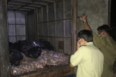 Tiêu hủy 720 kg sản phẩm thịt gà không rõ nguồn gốc xuất xứ