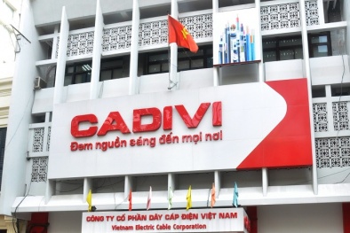 Vì sao 2 thành viên HĐQT lần lượt rời CTCP Dây cáp điện Việt Nam?