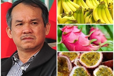 Trồng, bán trái cây, bầu Đức thu về hơn 3,4 nghìn tỷ đồng