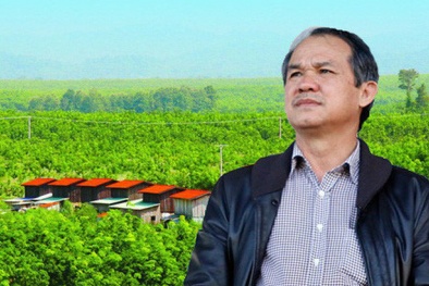Bị kiểm toán nghi ngờ về khả năng hoạt động liên tục: Công ty bầu Đức nói gì?