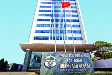 Cổ phiếu HNG công ty bầu Đức không được giao dịch ký quỹ