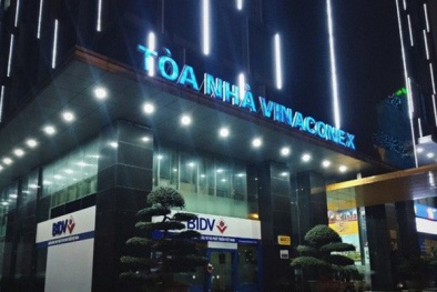 HĐQT mới Vinaconex ngừng hoạt động sau khi bị Tòa bác khiếu nại