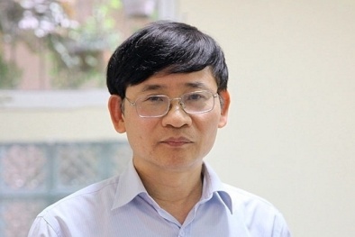 Luật sư Trương Thanh Đức: 'Doanh nghiệp siêu nhỏ phải dễ sống như hộ kinh doanh'