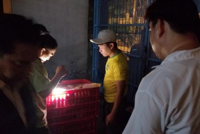 Phát hiện 3 xe tải vận chuyển hàng trăm kg thịt gà và phụ phẩm gia cầm không rõ nguồn gốc