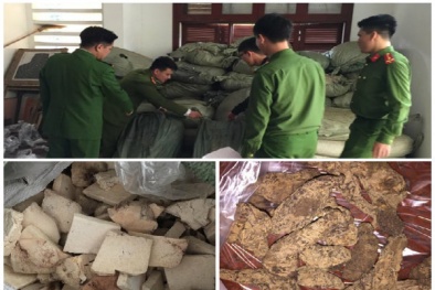 Chặn đứng hành vi gom dược liệu mốc không rõ nguồn gốc về làm thuốc bán