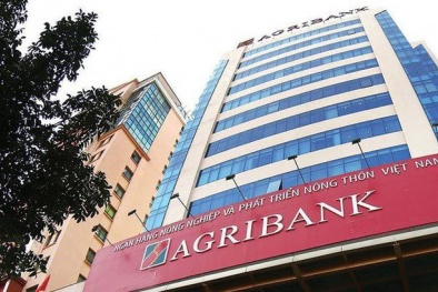 Làm rõ nghi vấn trong một số gói thầu của Agribank