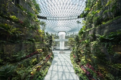 Cận cảnh quần thể mới chứa thác nước cao nhất thế giới bên trong sân bay Singapore