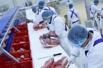 Vì sao Tập đoàn Masan tạm ngừng cung cấp thịt lợn từ ngày 12/4?