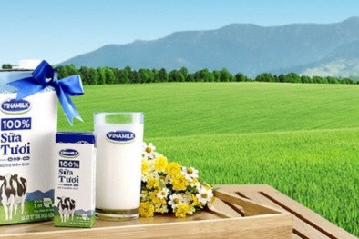 Vinamilk chính thức chào mua công khai gần 47% cổ phần GTNFoods với giá 13.000 đồng/cổ phần