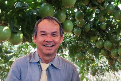 Cổ phiếu công ty bầu Đức tăng ‘chóng mặt’ sau quyết định mới của Thaco