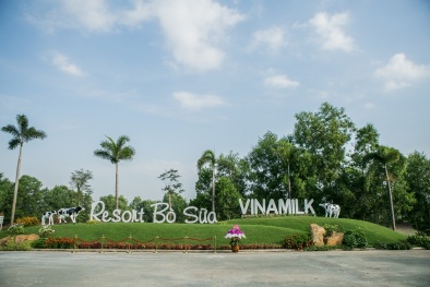 Hệ thống ‘resort’ bò sữa global G.A.P giúp Vinamilk cung cấp 5.5 triệu hộp sữa tươi mỗi ngày