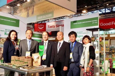 ĐHCĐ 2019: Hapro đặt mục tiêu xuất khẩu 115,2 triệu USD