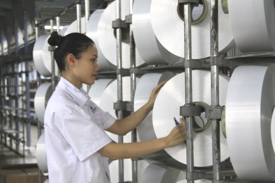 Nỗ lực vận hành trở lại Nhà máy xơ sợi Đình Vũ