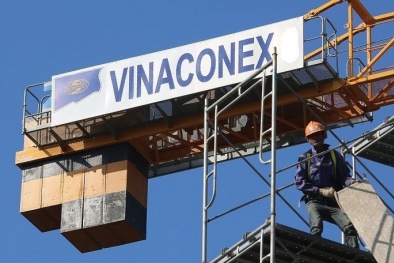 Qua 1 tháng lùm xùm, Vinaconex hoạt động trở lại sau phán quyết của Tòa