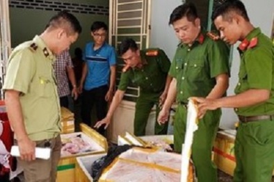 Phát hiện căn nhà đang tàng trữ gần 500 kg lòng động vật không rõ nguồn gốc
