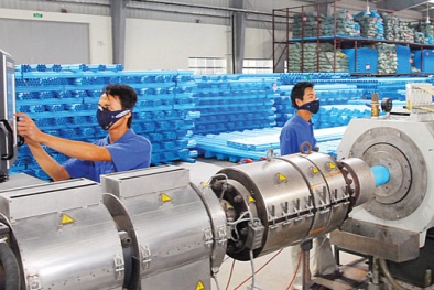 Tăng trưởng mạnh mẽ nhờ áp dụng hệ thống quản lý chất lượng