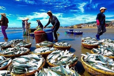 Sử dụng khoản tiền bồi thường của Công ty Formosa đầu tư các dự án tại 4 tỉnh miền Trung