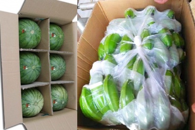 Xuất khẩu rau quả sang Trung Quốc phải truy suất nguồn gốc và tiêu chuẩn ngày càng khắt khe