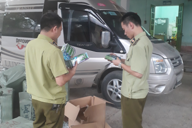 Tóm gọn xe ô tô giấu 1.152 tuýp kem đánh răng nhập lậu từ Trung Quốc
